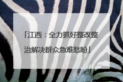 江西：全力抓好整改整治解决群众急难愁盼