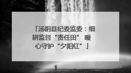 汤阴县纪委监委：细耕监督“责任田” 暖心守护“夕阳红”