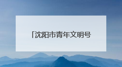 沈阳市青年文明号开放日活动举办