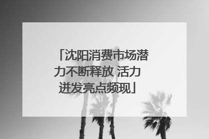 沈阳消费市场潜力不断释放 活力迸发亮点频现