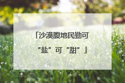 沙漠腹地民勤可“盐”可“甜”