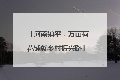 河南镇平：万亩荷花铺就乡村振兴路