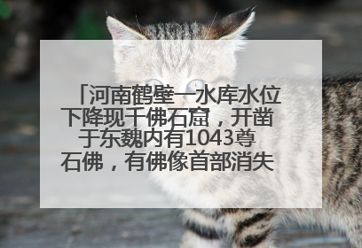 河南鹤壁一水库水位下降现千佛石窟，开凿于东魏内有1043尊石佛，有佛像首部消失，水库管理方回应
