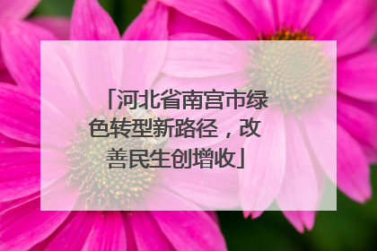 河北省南宫市绿色转型新路径，改善民生创增收