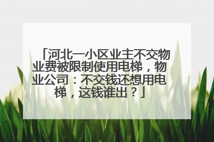 河北一小区业主不交物业费被限制使用电梯，物业公司：不交钱还想用电梯，这钱谁出？