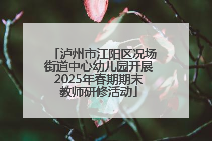 泸州市江阳区况场街道中心幼儿园开展2025年春期期末教师研修活动
