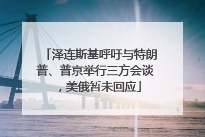 泽连斯基呼吁与特朗普、普京举行三方会谈，美俄暂未回应