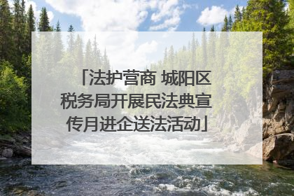 法护营商 城阳区税务局开展民法典宣传月进企送法活动