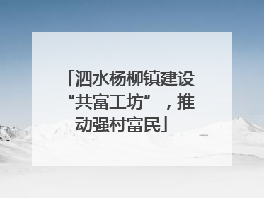泗水杨柳镇建设“共富工坊”，推动强村富民