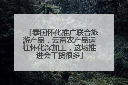 泰国怀化推广联合旅游产品，云南农产品运往怀化深加工，这场推进会干货很多