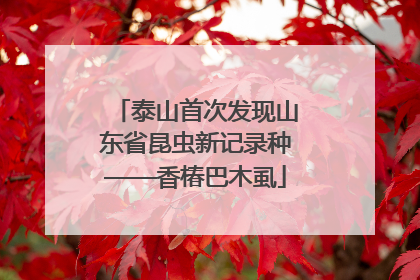 泰山首次发现山东省昆虫新记录种——香椿巴木虱
