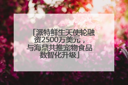 派特鲜生天使轮融资2500万美元，与海鼎共推宠物食品数智化升级