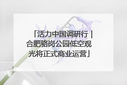 活力中国调研行｜合肥骆岗公园低空观光将正式商业运营