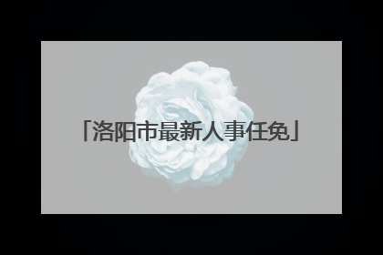 洛阳市最新人事任免