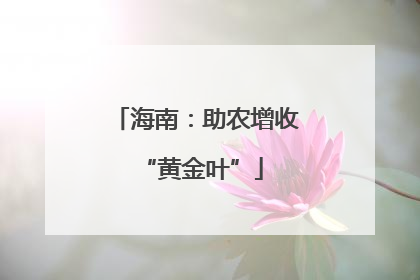 海南：助农增收 “黄金叶”