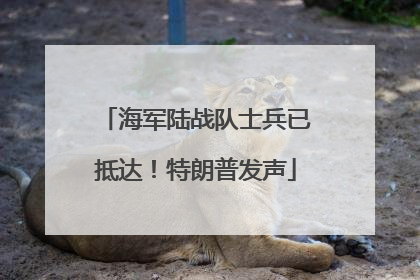 海军陆战队士兵已抵达！特朗普发声