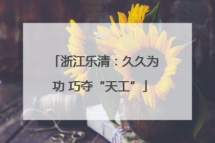 浙江乐清：久久为功 巧夺“天工”