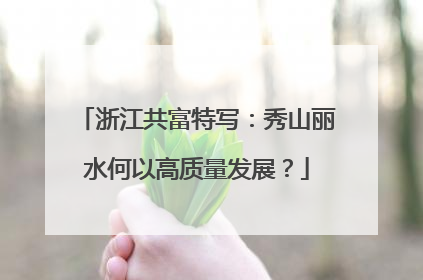浙江共富特写：秀山丽水何以高质量发展？