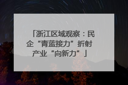 浙江区域观察：民企“青蓝接力”折射产业“向新力”