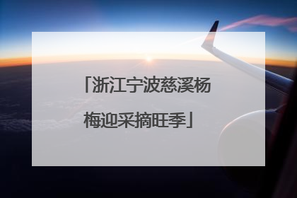 浙江宁波慈溪杨梅迎采摘旺季