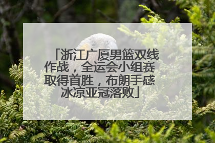 浙江广厦男篮双线作战，全运会小组赛取得首胜，布朗手感冰凉亚冠落败