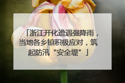 浙江开化遭遇强降雨，当地各乡镇积极应对，筑起防汛“安全堤”