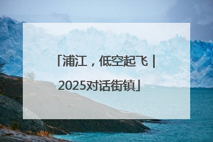 浦江，低空起飞｜2025对话街镇