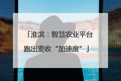 淮滨：智慧农业平台跑出麦收“加速度”