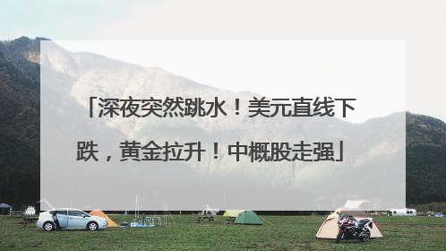 深夜突然跳水！美元直线下跌，黄金拉升！中概股走强