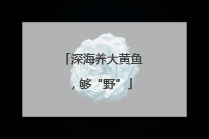 深海养大黄鱼，够“野”