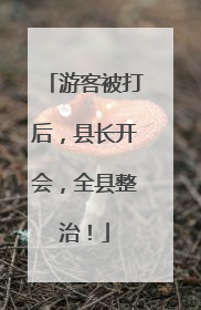 游客被打后，县长开会，全县整治！