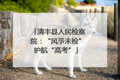 清丰县人民检察院：“风筝未检”护航“高考”