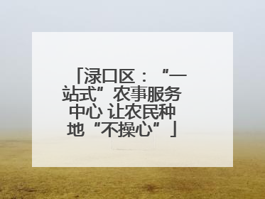 渌口区：“一站式”农事服务中心 让农民种地“不操心”