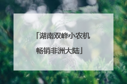 湖南双峰小农机畅销非洲大陆