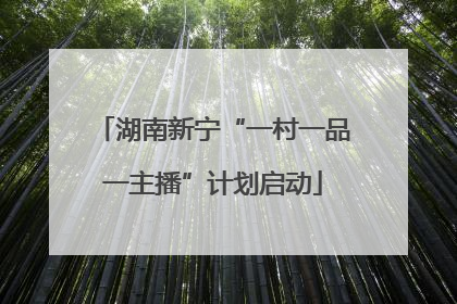 湖南新宁“一村一品一主播”计划启动