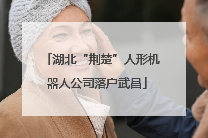 湖北“荆楚”人形机器人公司落户武昌