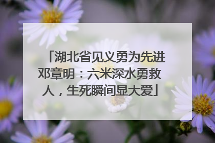 湖北省见义勇为先进邓章明：六米深水勇救人，生死瞬间显大爱
