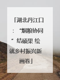 湖北丹江口：“烟粮协同”结硕果 绘就乡村振兴新画卷