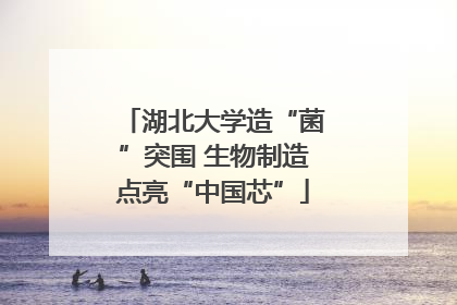湖北大学造“菌”突围 生物制造点亮“中国芯”