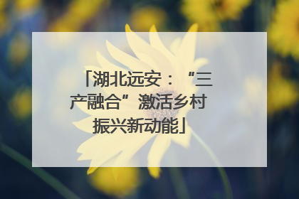 湖北远安：“三产融合”激活乡村振兴新动能