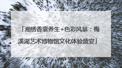 湘绣香囊养生+色彩风暴：梅溪湖艺术博物馆文化体验盛宴