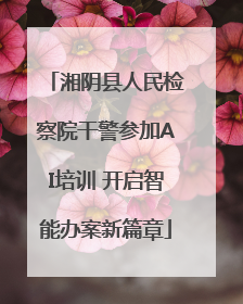 湘阴县人民检察院干警参加AI培训 开启智能办案新篇章