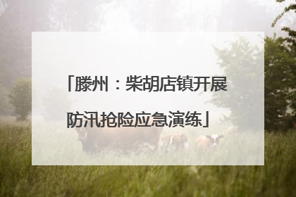 滕州：柴胡店镇开展防汛抢险应急演练