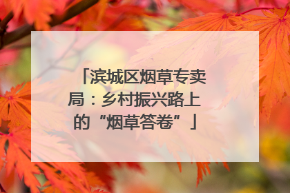 滨城区烟草专卖局：乡村振兴路上的“烟草答卷”