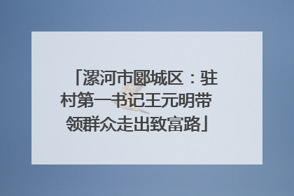 漯河市郾城区：驻村第一书记王元明带领群众走出致富路