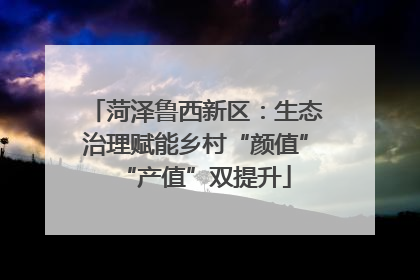 菏泽鲁西新区：生态治理赋能乡村“颜值”“产值”双提升