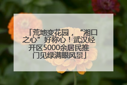 荒地变花园，“湘口之心”好称心！武汉经开区5000余居民推门见绿满眼风景