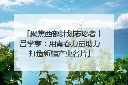 聚焦西部计划志愿者丨吕学亨：用青春力量助力打造新疆产业名片