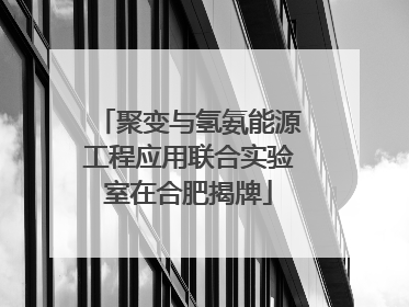 聚变与氢氨能源工程应用联合实验室在合肥揭牌