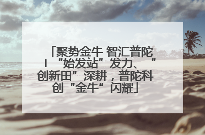 聚势金牛 智汇普陀〡“始发站”发力、“创新田”深耕，普陀科创“金牛”闪耀